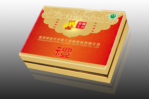邵陽海哥牛肉產品包裝及禮盒